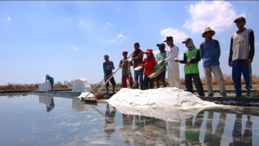 DPR Semprot Pemerintah soal Garam Impor: Matiin Petani Lokal