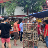 Baru Setengah Hari Jualan, Pedagang Burung Pipit Kantongi Rp17 Juta saat Hari Imlek