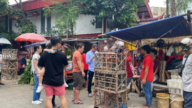 Baru Setengah Hari Jualan, Pedagang Burung Pipit Kantongi Rp17 Juta saat Hari Imlek