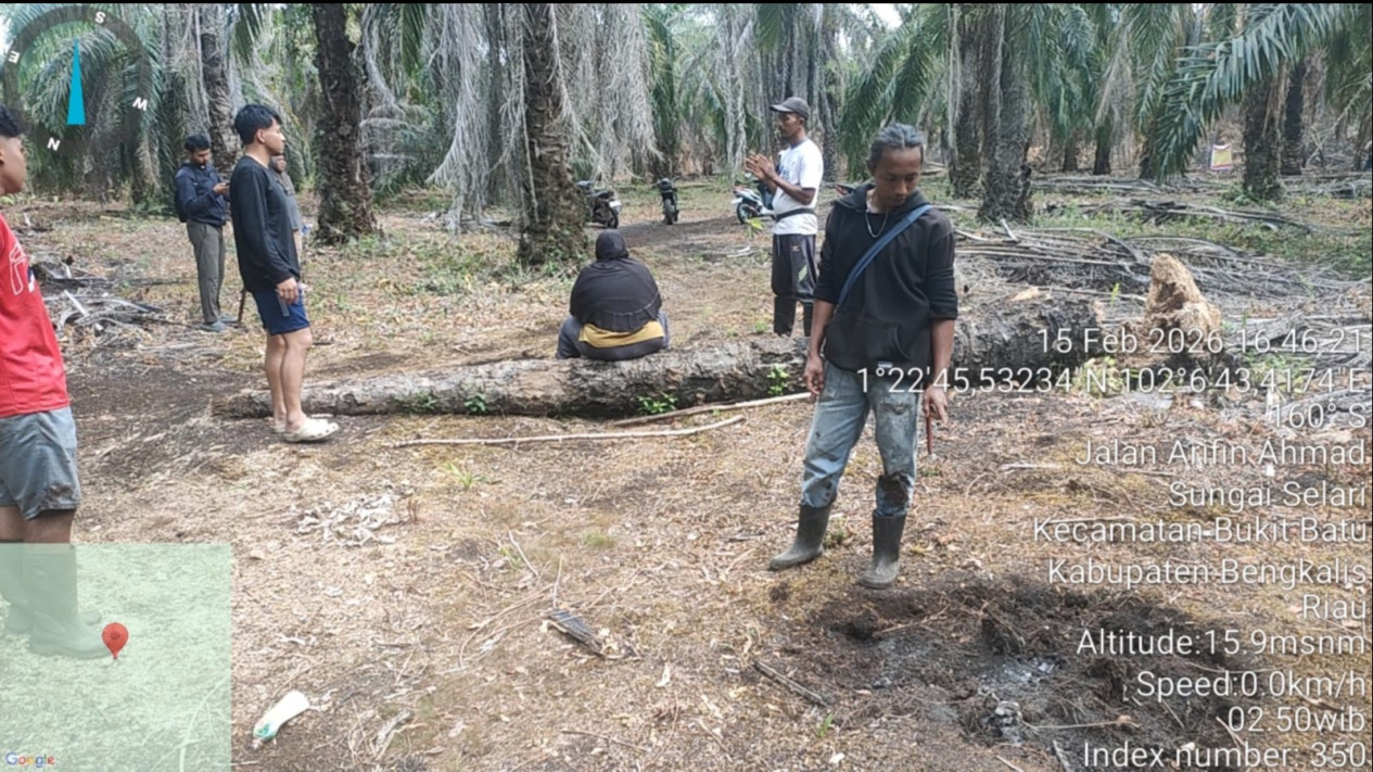 Polres Bengkalis Tetapkan Tersangka Kasus Perambahan Kawasan Hutan
            - galeri foto