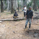 Polres Bengkalis Tetapkan Tersangka Kasus Perambahan Kawasan Hutan