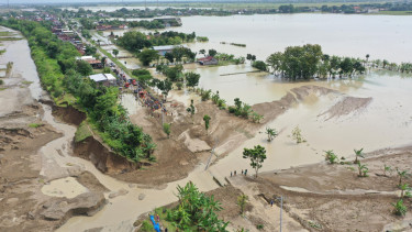 1.842 Hektare Sawah di Grobogan Terendam Banjir, Pemprov Jateng Kawal Klaim Asuransi Usaha Tani Padi