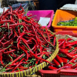 Pramono Anung Ungkap Strategi Tekan Harga Cabai di Jakarta: Pedagang Cuma Boleh Ambil Untung Segini