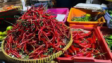 Pramono Anung Ungkap Strategi Tekan Harga Cabai di Jakarta: Pedagang Cuma Boleh Ambil Untung Segini