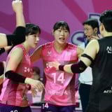 Bukan Hanya Red Sparks, Begini Nasib Pink Spiders Usai Ditinggal Ratu Voli Korea