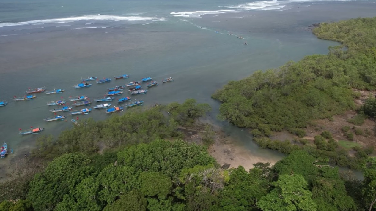 Ada di Ujung Garut, Leuweung Sancang Hutan Sakral dan Keramat Diwarnai Keindahan Bentangan Alam yang Memukau
            - galeri foto