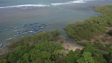 Ada di Ujung Garut, Leuweung Sancang Hutan Sakral dan Keramat Diwarnai Keindahan Bentangan Alam yang Memukau