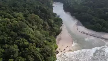Potret udara hutan Leuweung Sancang dipisahkan pantai dan laut di Kabupaten Garut, Jawa Barat