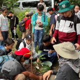 Edukasi Alam di Tahura Bunder Gunungkidul: Puluhan Siswa Kinderstation Belajar Tanam Pohon hingga Beri Makan Rusa