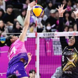 Apa Iya Megatron Diincar Klub Elite Korea Selain Red Sparks? Aturan Baru KOVO 2026 Bisa Jadi Jalan untuk Megatron Comeback ke V-League