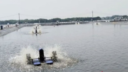 6.209 Hektare Tambak di Kabupaten Karawang Siap Direvitalisasi