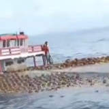 Angkut 4.480 Tabung Gas Elpiji, KLM Reski Aqila 03 Tenggelam di Perairan Bulukumba