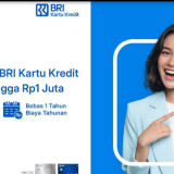 Bisa Dapat Cashback Rp1 Juta, Begini Cara Ajukan Kartu Kredit BRI via BRImo