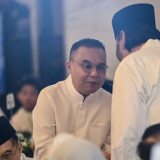 Saran Dasco untuk Pemerintah soal Rencana Impor 105 Ribu Mobil dari India