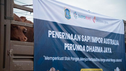 3.100 Sapi Asal Australia Tiba di Tanjung Priok, Pramono Harap Harga Daging di Jakarta Stabil saat Ramadan