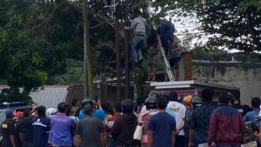 Warga Pacitan Tewas Tersengat Listrik saat Menebang Pohon Mangga