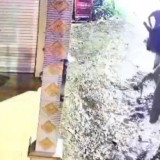 Perang Sarung di Bangkalan Berujung Tawuran, Pemuda Salah Sasaran Dikeroyok hingga Masuk Puskesmas