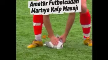 Pemain melakukan CPR pada burung camar