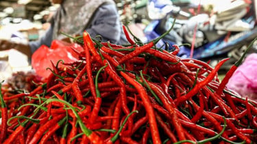 Pergerakan Harga Pangan Nasional Hari Ini 3 Agustus 2026, Cabai Rawit Naik Rp55.800 per Kilogram