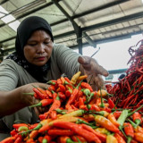 Harga Pangan Jakarta, Beras dan Cabai Kompak Turun Saat Daging hingga Minyak Goreng Naik