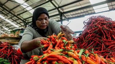 Harga Pangan Jakarta, Beras dan Cabai Kompak Turun Saat Daging hingga Minyak Goreng Naik