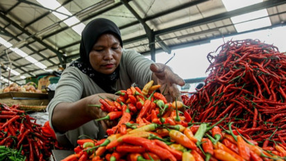 Harga Pangan Jakarta, Beras dan Cabai Kompak Turun Saat Daging hingga Minyak Goreng Naik
