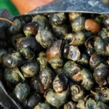 Punya 1.001 Cara agar Tak Terdeteksi Aparat, Pria di Bandung Barat Edarkan Sabu dalam Cangkang Keong Sawah