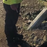 Kecelakaan Tunggal di Jalan Rumah Sakit Bandung: Motor Tabrak Pohon, Satu Orang Tewas di Tempat