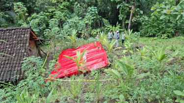Sinkhole Raksasa Sedalam Hampir 50 Meter Kembali Muncul di Kulon Progo, Permukiman Warga Terancam