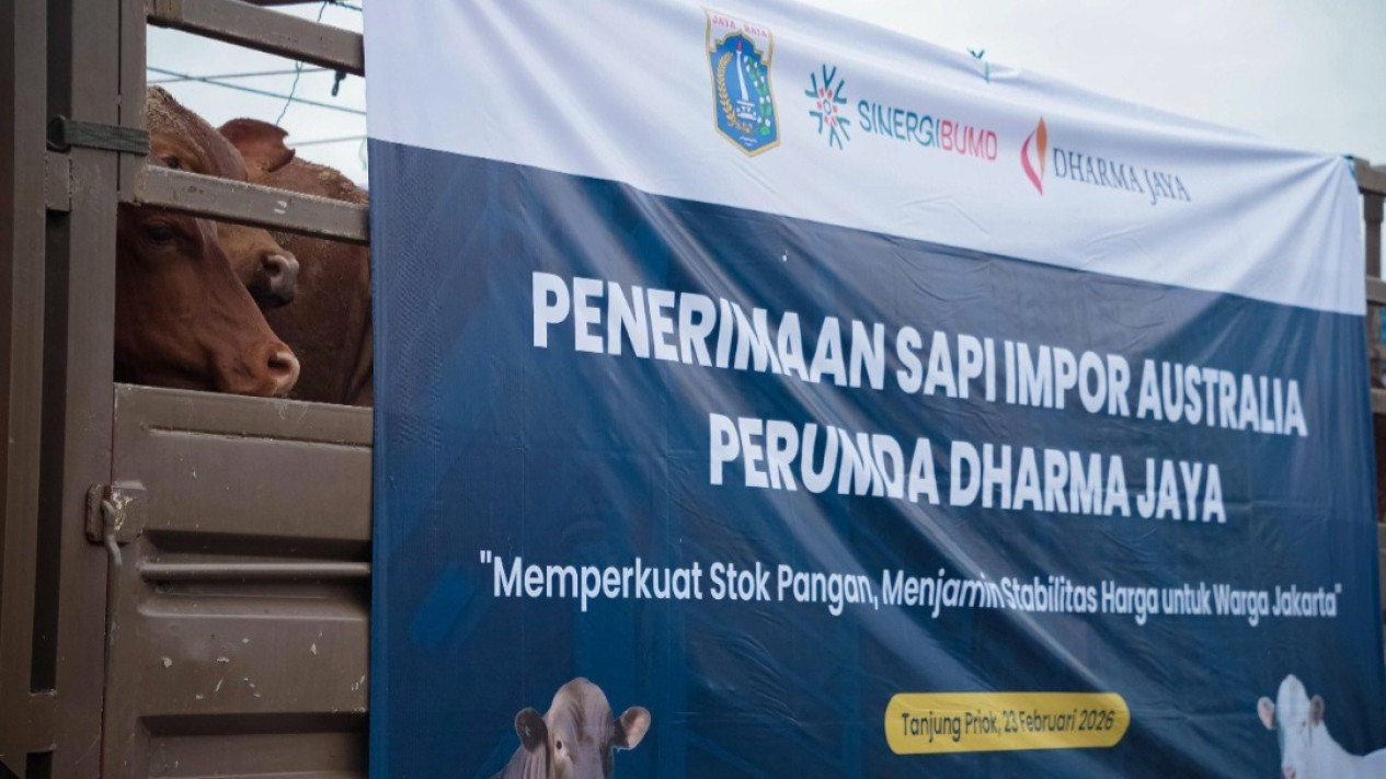 Langkah Gubernur Jakarta Pramono Anung Impor Ribuan Ekor Sapi dari Australia Menuai Kritik Pedas
            - galeri foto
