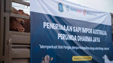 Langkah Gubernur Jakarta Pramono Anung Impor Ribuan Ekor Sapi dari Australia Menuai Kritik Pedas