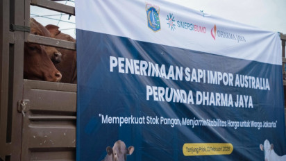 Langkah Gubernur Jakarta Pramono Anung Impor Ribuan Ekor Sapi dari Australia Menuai Kritik Pedas