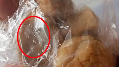 Heboh! Menu MBG di Probolinggo, Diduga Berjamur dan Berbelatung