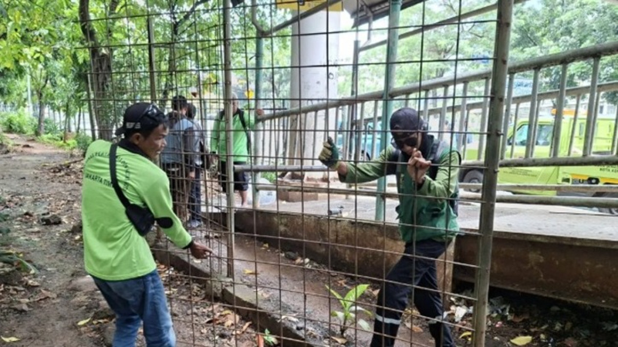 Usai Penertiban, Alat Kontrasepsi Ditemukan Berserakan di Taman Kota Cawang
            - galeri foto