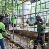 Usai Penertiban, Alat Kontrasepsi Ditemukan Berserakan di Taman Kota Cawang