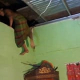 Nafsu Buta Menantu Perkosa Ibu Mertua yang Sedang Tidur dan Usianya Cuma Beda 5 Tahun, Polis Ungkap Motif Pelaku