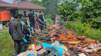 Jaga Perbatasan RI–Malaysia, PLBN Entikong Musnahkan Ribuan Kg Media Pembawa Penyakit