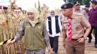 Tertinggi Nasional, Provinsi Jatim Panen Jagung Tembus 4,8 Juta Ton
