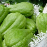 Fakta-Fakta Pria Paruh Baya Tewas Dianiaya Usai Curi Dua Labu Siam untuk Buka Puasa: Dikejar Pelaku Sampai Depan Rumah hingga Keluarga Sebut Korban Terpaksa