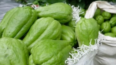 Fakta-Fakta Pria Paruh Baya Tewas Dianiaya Usai Curi Dua Labu Siam untuk Buka Puasa: Dikejar Pelaku Sampai Depan Rumah hingga Keluarga Sebut Korban Terpaksa