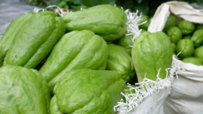 Fakta-Fakta Pria Paruh Baya Tewas Dianiaya Usai Curi Dua Labu Siam untuk Buka Puasa: Dikejar Pelaku Sampai Depan Rumah hingga Keluarga Sebut Korban Terpaksa