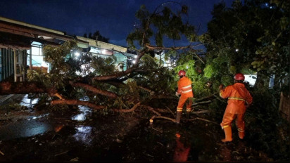 Angin Kencang Terjang Nganjuk, Sejumlah Pohon Tumbang Timpa Pengendara, Dua Orang Terluka
