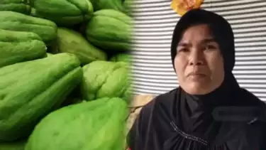 Adik pencuri dua buah labu siam di Cianjur, Tita ceritakan kronologi kakaknya diduga dianiaya tetangga
