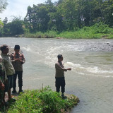 Mandi di Sungai Kalibaru, Bocah Delapan Tahun Hilang Terseret Arus