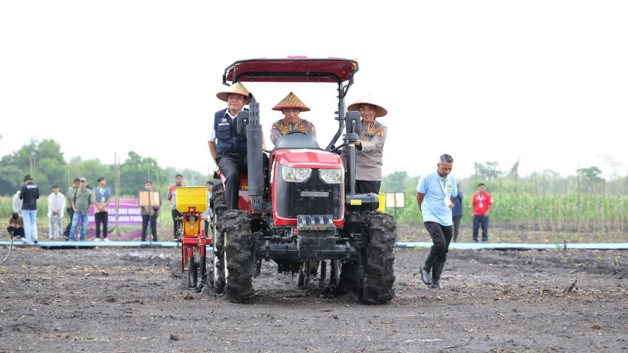 Tanam Jagung di Ogan Ilir, Kapolri Tegaskan Komitmen Polri Dukung Swasembda Pangan dan Program MBG
            - galeri foto