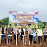 Realisasi Swasembada Pangan, Polri dan Pemuda Katolik Tanam Jagung 80 Hektar di Cianjur