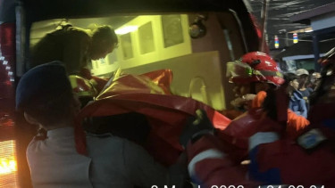 Tragedi di Tengah Banjir Jakarta: Pengendara Motor Tewas Tertimpa Pohon Tumbang Saat Hujan Lebat di Lenteng Agung