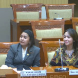 DPR Turun Tangan soal Kasus Nabila O Brien, Status Tersangka Kini Dicabut