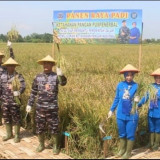 Manfaatkan Lahan 2 Hektare, Puspenerbal Sidoarjo Panen 6 Ton Gabah
