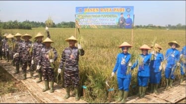 Manfaatkan Lahan 2 Hektare, Puspenerbal Sidoarjo Panen 6 Ton Gabah